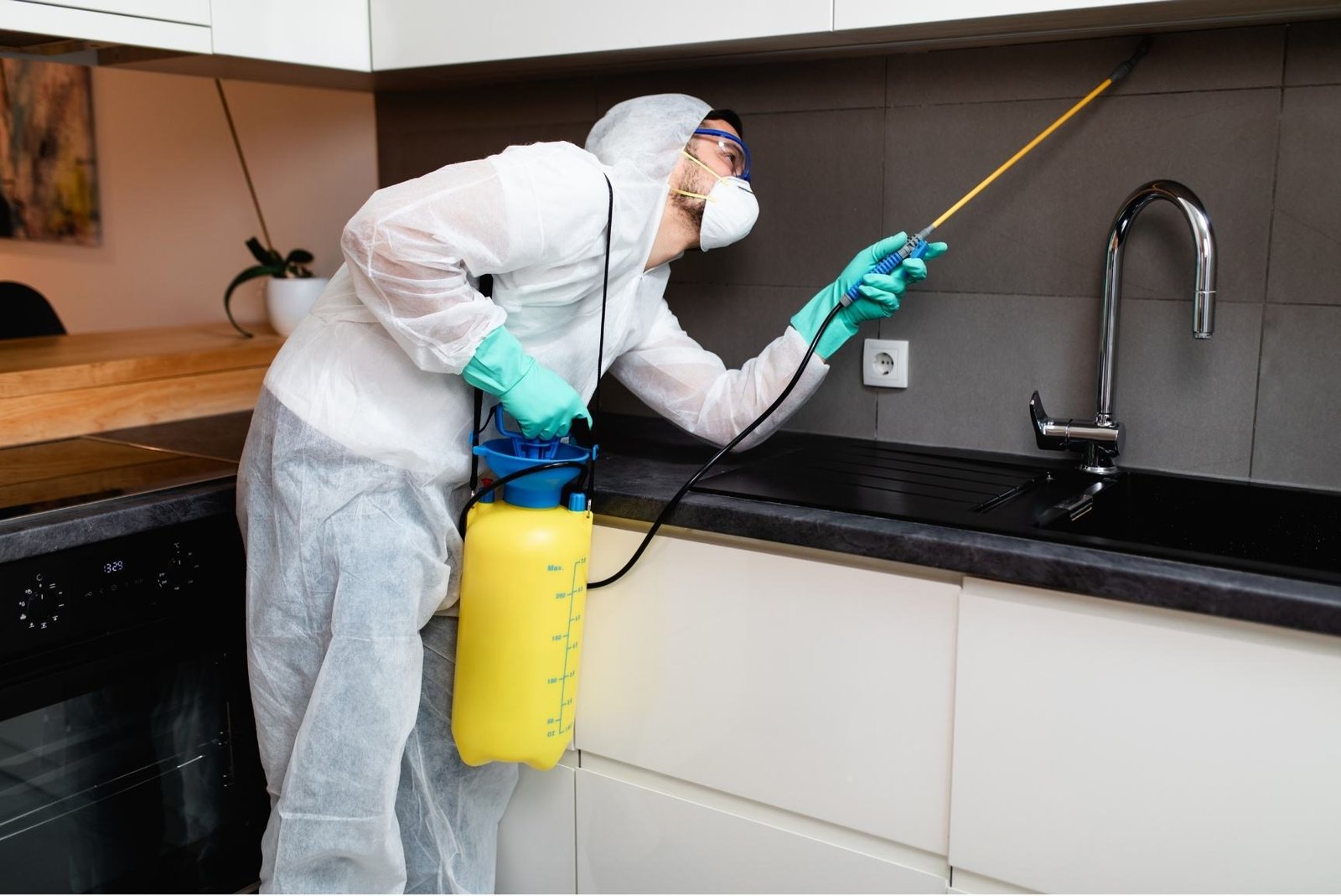 Why Do We Need Pest Control?