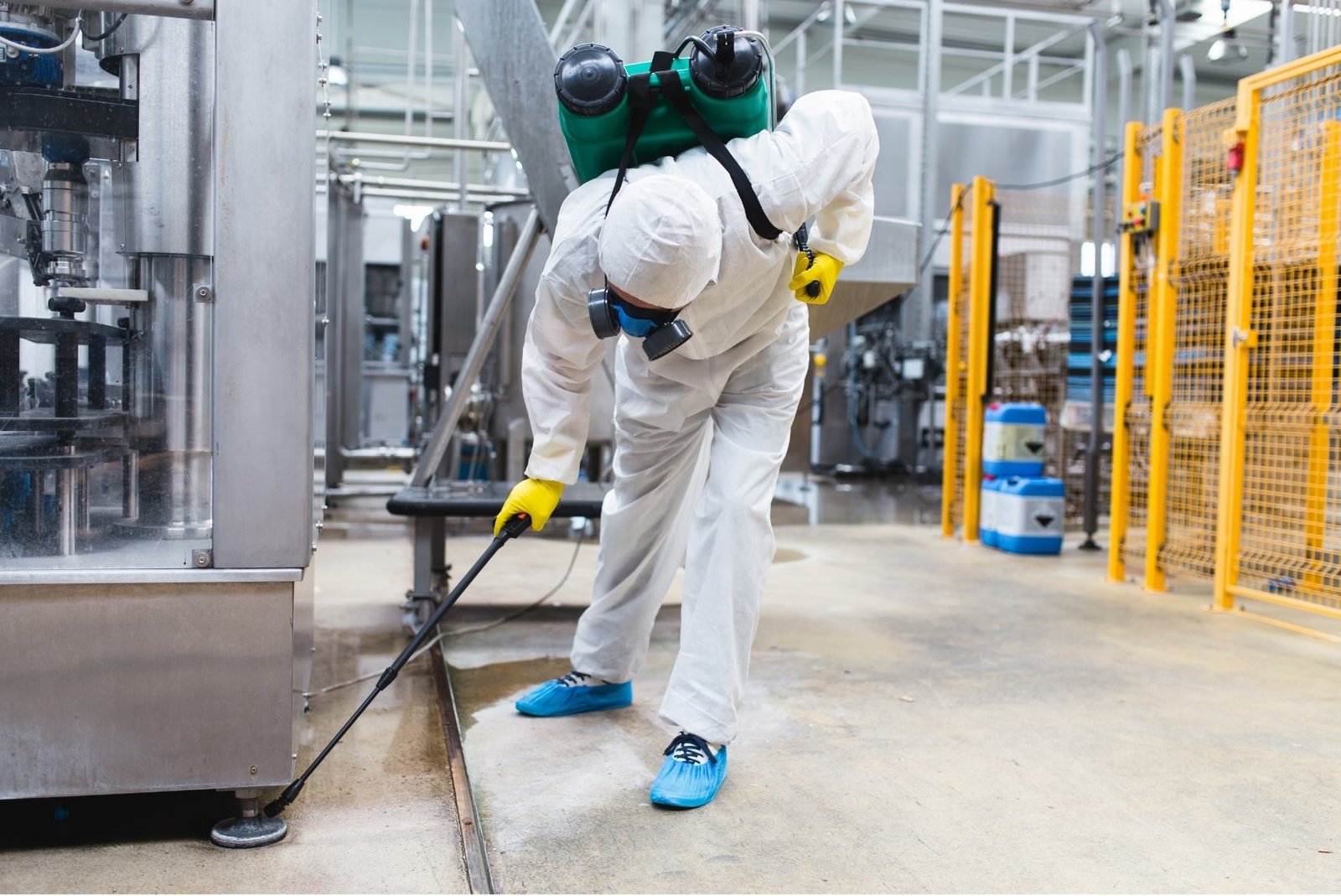 Why Pest Control Is Important for Every Home and Business in Bangladesh