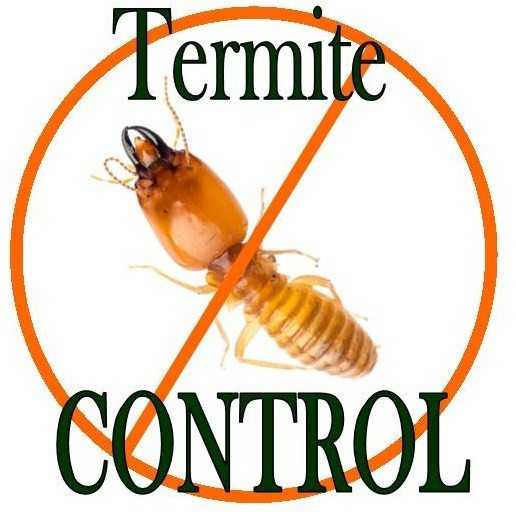 Termite Control icon