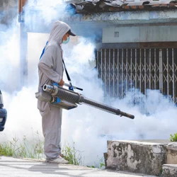 Mosquito Control image