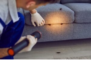Professional Pest Control Service in Dhaka image