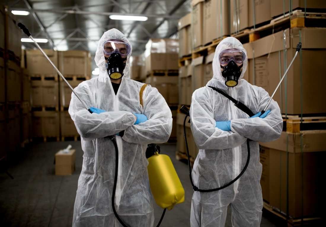 Professional Pest Control Service in Dhaka image