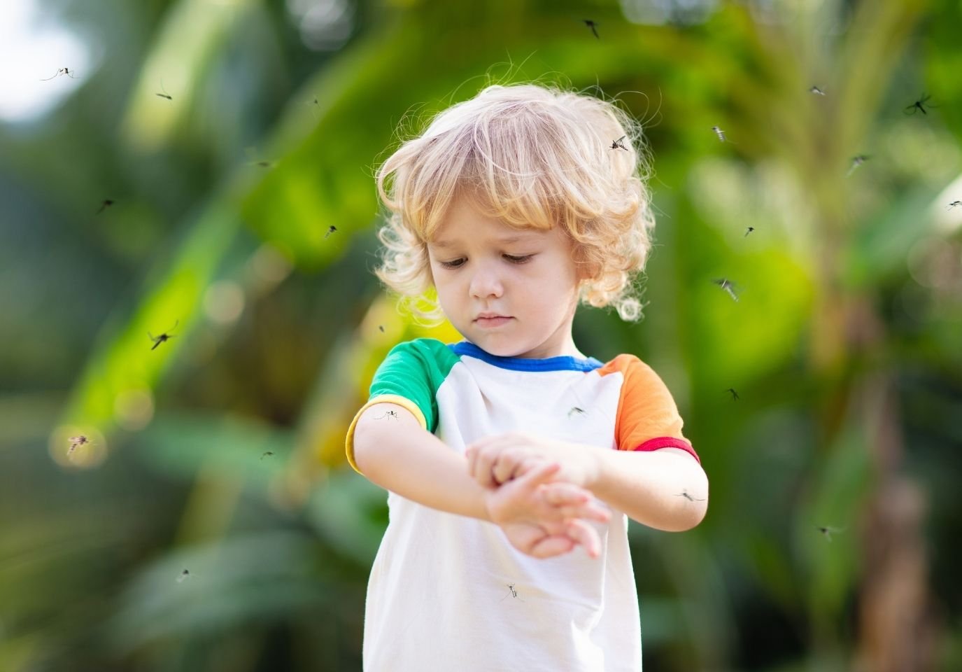Professional Pest Control Service in Dhaka image